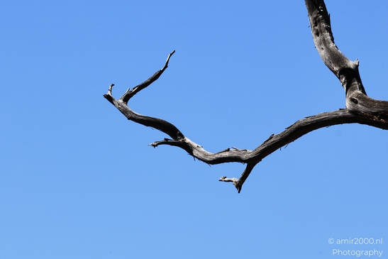 The stark beauty of the Grand Canyon's layered rock formations at Grandview Point in Arizona - image from year 2025 #016
