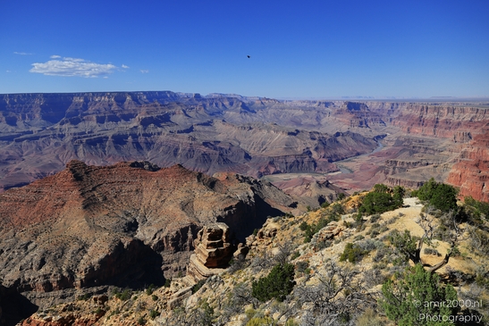 Lipan_Point_overlook_wide_Colorado_River_views_cutting_through_layered_canyon_walls_under_clear_sky_Arizona_USA_Grandcanyon_Photography_Canon_EOS_R5_Mark_II_2025_003.JPG