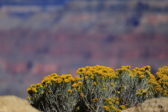 Mather_Point_overlook_layered_canyon_panoramas_with_rugged_cliffs_and_distant_buttes_under_open_sky_Arizona_USA_Grandcanyon_Photography_Canon_EOS_R5_Mark_II_2025_012.JPG