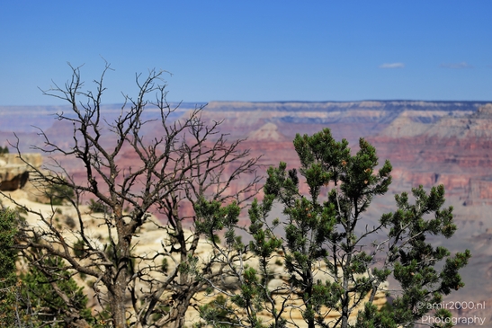 Mather_Point_overlook_layered_canyon_panoramas_with_rugged_cliffs_and_distant_buttes_under_open_sky_Arizona_USA_Grandcanyon_Photography_Canon_EOS_R5_Mark_II_2025_039.JPG
