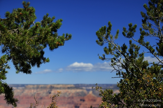 Mather_Point_overlook_layered_canyon_panoramas_with_rugged_cliffs_and_distant_buttes_under_open_sky_Arizona_USA_Grandcanyon_Photography_Canon_EOS_R5_Mark_II_2025_042.JPG