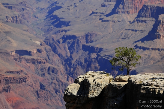 Yaki_Point_viewpoint_deep_inner_canyon_views_with_dramatic_cliff_shadowed_walls_and_distant_ridgelines_Arizona_USA_Grandcanyon_Photography_Canon_EOS_R5_Mark_II_2025_003.JPG