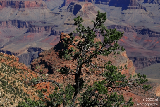Yaki_Point_viewpoint_deep_inner_canyon_views_with_dramatic_cliff_shadowed_walls_and_distant_ridgelines_Arizona_USA_Grandcanyon_Photography_Canon_EOS_R5_Mark_II_2025_006.JPG