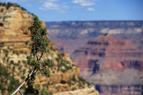 Yaki_Point_viewpoint_deep_inner_canyon_views_with_dramatic_cliff_shadowed_walls_and_distant_ridgelines_Arizona_USA_Grandcanyon_Photography_Canon_EOS_R5_Mark_II_2025_007.JPG