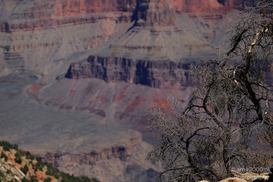 Yaki_Point_viewpoint_deep_inner_canyon_views_with_dramatic_cliff_shadowed_walls_and_distant_ridgelines_Arizona_USA_Grandcanyon_Photography_Canon_EOS_R5_Mark_II_2025_008.JPG