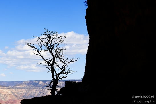Yaki_Point_viewpoint_deep_inner_canyon_views_with_dramatic_cliff_shadowed_walls_and_distant_ridgelines_Arizona_USA_Grandcanyon_Photography_Canon_EOS_R5_Mark_II_2025_017.JPG