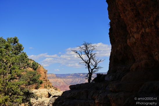 Yaki_Point_viewpoint_deep_inner_canyon_views_with_dramatic_cliff_shadowed_walls_and_distant_ridgelines_Arizona_USA_Grandcanyon_Photography_Canon_EOS_R5_Mark_II_2025_018.JPG