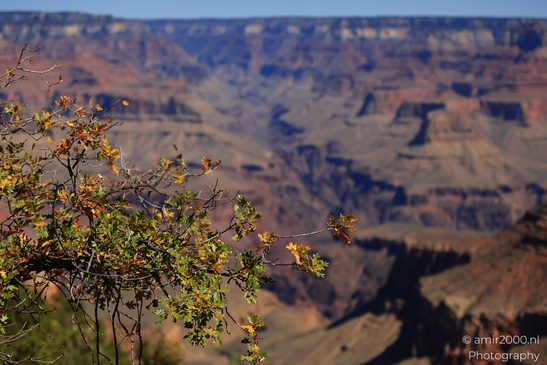 Yaki_Point_viewpoint_deep_inner_canyon_views_with_dramatic_cliff_shadowed_walls_and_distant_ridgelines_Arizona_USA_Grandcanyon_Photography_Canon_EOS_R5_Mark_II_2025_029.JPG