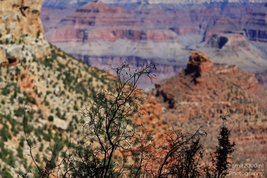Yaki_Point_viewpoint_deep_inner_canyon_views_with_dramatic_cliff_shadowed_walls_and_distant_ridgelines_Arizona_USA_Grandcanyon_Photography_Canon_EOS_R5_Mark_II_2025_039.JPG