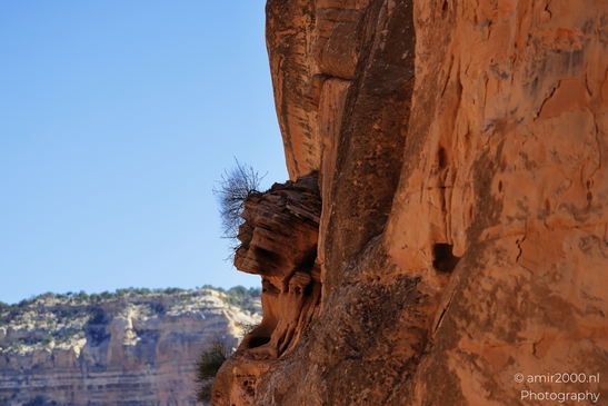 Yaki_Point_viewpoint_deep_inner_canyon_views_with_dramatic_cliff_shadowed_walls_and_distant_ridgelines_Arizona_USA_Grandcanyon_Photography_Canon_EOS_R5_Mark_II_2025_048.JPG