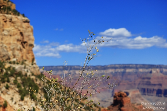Yaki_Point_viewpoint_deep_inner_canyon_views_with_dramatic_cliff_shadowed_walls_and_distant_ridgelines_Arizona_USA_Grandcanyon_Photography_Canon_EOS_R5_Mark_II_2025_051.JPG