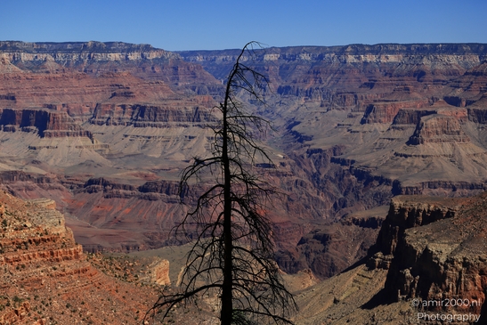 Yaki_Point_viewpoint_deep_inner_canyon_views_with_dramatic_cliff_shadowed_walls_and_distant_ridgelines_Arizona_USA_Grandcanyon_Photography_Canon_EOS_R5_Mark_II_2025_053.JPG