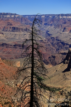 Yaki_Point_viewpoint_deep_inner_canyon_views_with_dramatic_cliff_shadowed_walls_and_distant_ridgelines_Arizona_USA_Grandcanyon_Photography_Canon_EOS_R5_Mark_II_2025_054.JPG