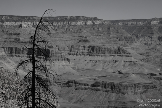 Yaki_Point_viewpoint_deep_inner_canyon_views_with_dramatic_cliff_shadowed_walls_and_distant_ridgelines_Arizona_USA_Grandcanyon_Photography_Canon_EOS_R5_Mark_II_2025_058.JPG