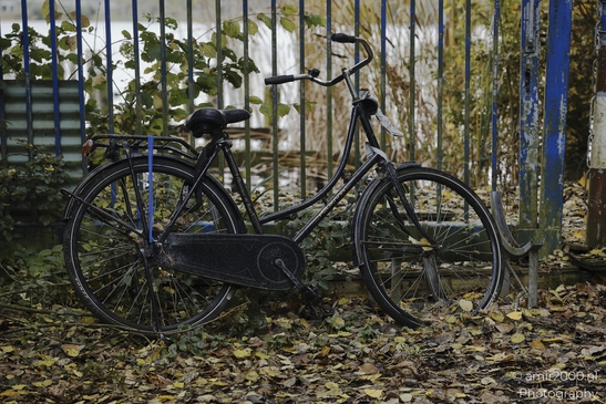 Bicycle_In_Autumn_Leaves_By_Blue_Fence_Amsterdam_Netherlands_miscellaneous_Photography_Canon_EOS_R5_Mark_II_2025_001.JPG