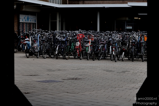 Bicycle_Parking_Garage_city_of_bikes_Amsterdam_Netherlands_Miscellaneous_Photography_Canon_EOS_R5_Mark_II_2025_003.JPG