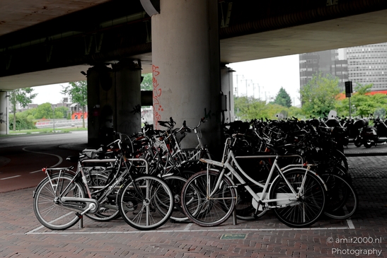 Bicycle_Parking_Lot_at_Station_Sloterdijk_Amsterdam_Netherlands_Miscellaneous_Photography_Canon_EOS_R5_Mark_II_2025_001.JPG