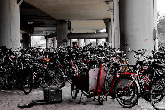 Bicycle_Parking_Lot_at_Station_Sloterdijk_Amsterdam_Netherlands_Miscellaneous_Photography_Canon_EOS_R5_Mark_II_2025_002.JPG