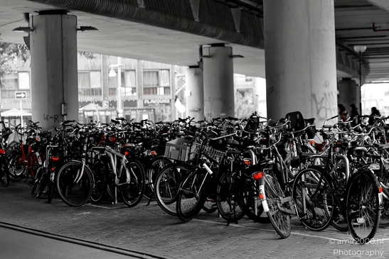 Bicycle_Parking_Lot_at_Station_Sloterdijk_Amsterdam_Netherlands_Miscellaneous_Photography_Canon_EOS_R5_Mark_II_2025_003.JPG