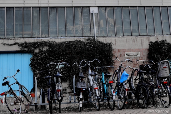 Bicycles_in_Levantkade_Amsterdam_Netherlands_Miscellaneous_Photography_Canon_EOS_R5_Mark_II_2025_001.JPG
