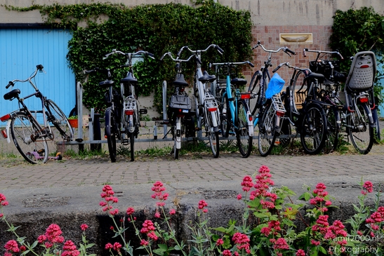 Bicycles_in_Levantkade_Amsterdam_Netherlands_Miscellaneous_Photography_Canon_EOS_R5_Mark_II_2025_002.JPG