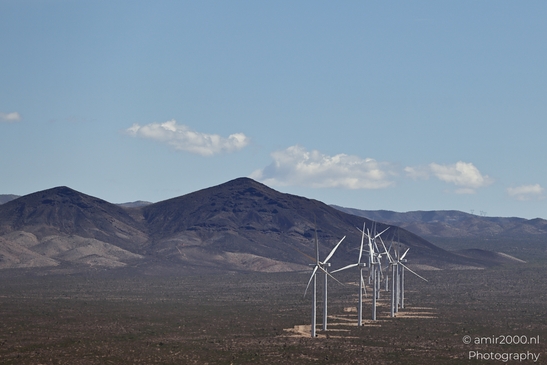 Desert Wind Farm in Arizona USA in Utility Photography Series. The desert wind farm stands tall - image from year 2025 #005
