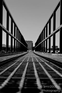 Dock_walkway_with_railings_over_the_IJ_Amsterdam_Netherlands_Miscellaneous_Photography_Canon_EOS_R5_Mark_II_2025_003.JPG