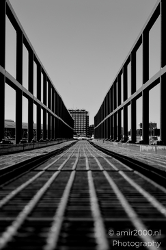 Dock_walkway_with_railings_over_the_IJ_Amsterdam_Netherlands_Miscellaneous_Photography_Canon_EOS_R5_Mark_II_2025_004.JPG