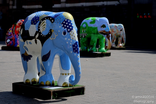 Elephant_Parade_sculptures_in_Beursplein_Amsterdam_Netherlands_Miscellaneous_Photography_Canon_EOS_R5_Mark_II_2025_001.JPG