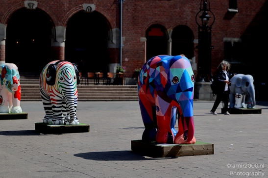 Elephant_Parade_sculptures_in_Beursplein_Amsterdam_Netherlands_Miscellaneous_Photography_Canon_EOS_R5_Mark_II_2025_002.JPG