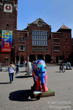 Elephant_Parade_sculptures_in_Beursplein_Amsterdam_Netherlands_Miscellaneous_Photography_Canon_EOS_R5_Mark_II_2025_003.JPG
