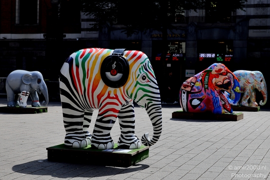 Elephant_Parade_sculptures_in_Beursplein_Amsterdam_Netherlands_Miscellaneous_Photography_Canon_EOS_R5_Mark_II_2025_004.JPG