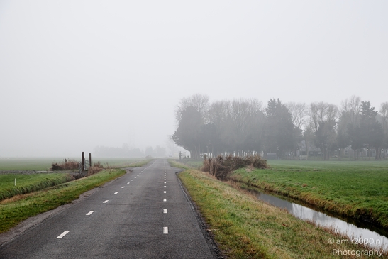 Foggy_Rural_Road_With_Canal_Reflections_And_Green_Fields_Amsterdam_Netherlands_Miscellaneous_Photography_Canon_EOS_R5_Mark_II_2025_003.JPG