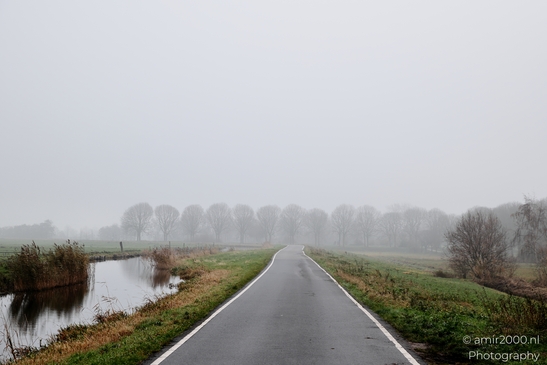 Foggy_Rural_Road_With_Canal_Reflections_And_Green_Fields_Amsterdam_Netherlands_Miscellaneous_Photography_Canon_EOS_R5_Mark_II_2025_005.JPG