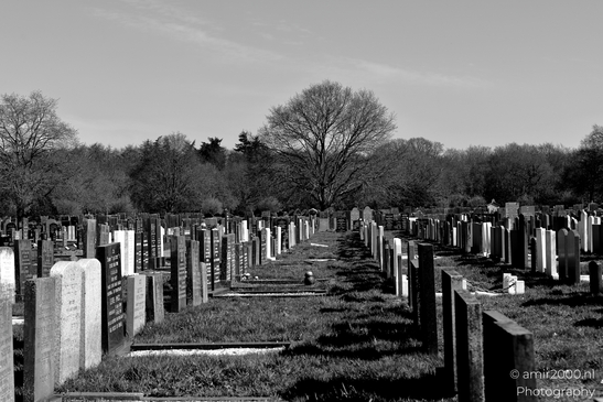Jewish_Cemetery_Joodse_Begraafplaats_Muiderberg_Netherlands_Miscellaneous_Photography_Canon_EOS_R5_Mark_II_2025_001.JPG