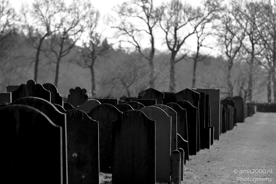 Jewish_Cemetery_Joodse_Begraafplaats_Muiderberg_Netherlands_Miscellaneous_Photography_Canon_EOS_R5_Mark_II_2025_002.JPG