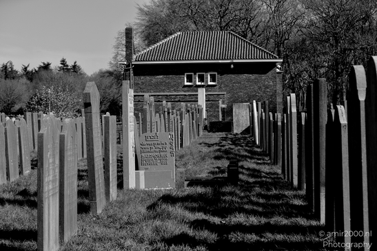 Jewish_Cemetery_Joodse_Begraafplaats_Muiderberg_Netherlands_Miscellaneous_Photography_Canon_EOS_R5_Mark_II_2025_003.JPG