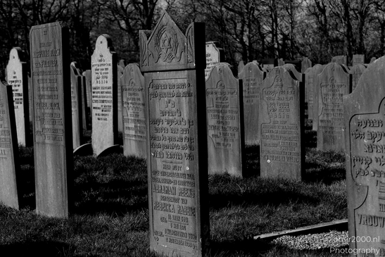 Jewish_Cemetery_Joodse_Begraafplaats_Muiderberg_Netherlands_Miscellaneous_Photography_Canon_EOS_R5_Mark_II_2025_004.JPG