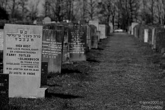 Jewish_Cemetery_Joodse_Begraafplaats_Muiderberg_Netherlands_Miscellaneous_Photography_Canon_EOS_R5_Mark_II_2025_005.JPG