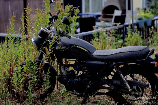 Old_Motorcycle_In_Garden_Transportation_Collection_Miscellaneous_Photography_Canon_EOS_R5_Mark_II_2025_001.JPG