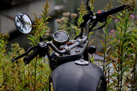 Old_Motorcycle_In_Garden_Transportation_Collection_Miscellaneous_Photography_Canon_EOS_R5_Mark_II_2025_003.JPG