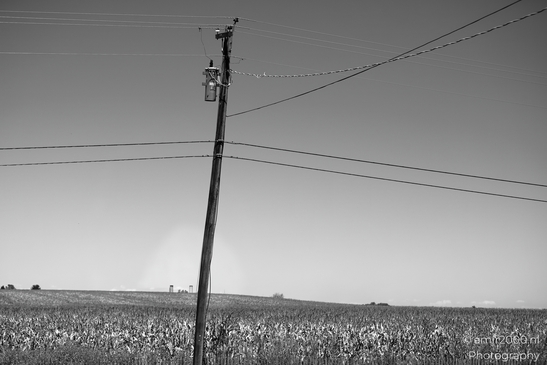 A black-and-white photograph of an expansive field with a utility pole and power lines. - image from year 2025 #001