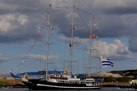 SAIL_Out_Traditional_sailing_ship_the_end_of_Sail_2025_750_to_the_city_Amsterdam_Netherlands_Miscellaneous_Photography_Canon_EOS_R5_Mark_II_2025_033.JPG