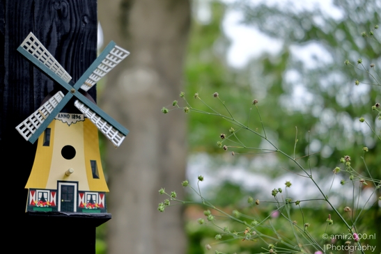 Windmill_Decoration_in_the_garden_Amsterdam_Netherlands_Miscellaneous_Photography_Canon_EOS_R5_Mark_II_2025_001.JPG