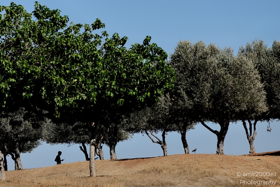 Ariel_Sharon_Park_summer_scenery_Tel_Aviv_jaffa_Israel_Nature_Photography_Canon_EOS_R5_Mark_II_2025_004.JPG