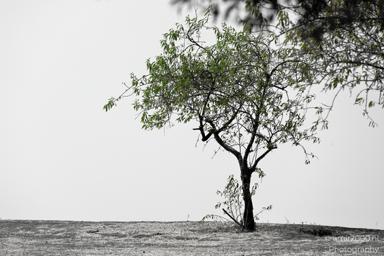 Ariel_Sharon_Park_summer_scenery_Tel_Aviv_jaffa_Israel_Nature_Photography_Canon_EOS_R5_Mark_II_2025_009.JPG