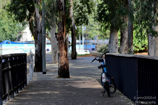 At_the_park_Leumi_Ramat_Gan_Israel_Nature_Photography_Canon_EOS_R5_Mark_II_2025_006.JPG