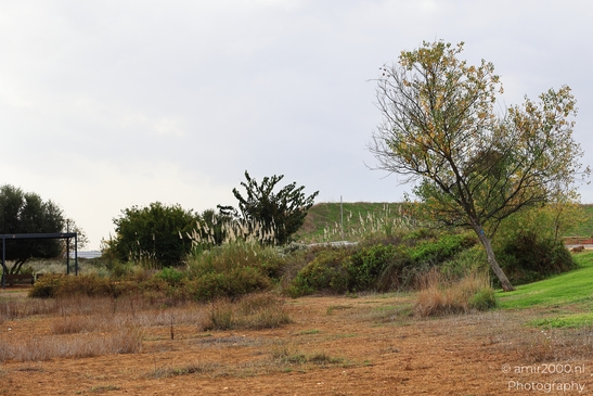 Autumn_Scenery_Park_Ariel_Sharon_Tel_Aviv_jaffa_Israel_nature_Photography_Canon_EOS_R5_Mark_II_2025_001.JPG