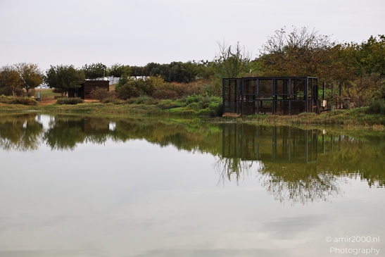 A tranquil park scene with a bird observatory structure reflected in still water. - image from year 2025 #004