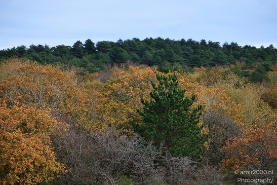 Autumn_hike_around_Zuid_Kennemerland_Nature_Landscape_Netherlands_nature_Photography_Canon_EOS_R5_Mark_II_2025_009.JPG